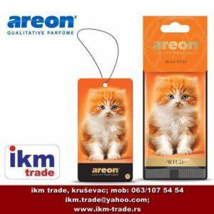 ikm-trade-areon-wild-blue-eyes-cat-mirisna-jelkica